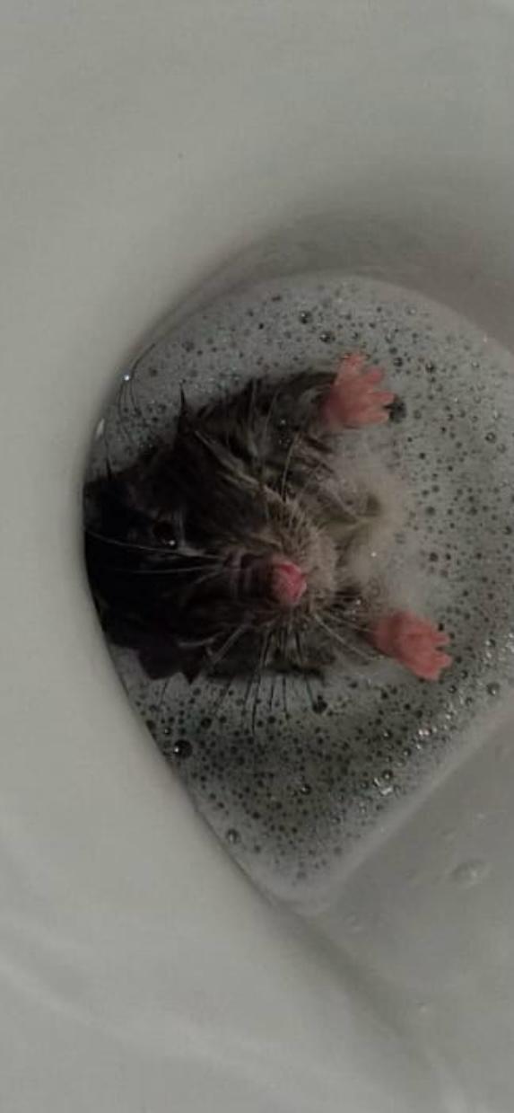 374a6ecd-785e-47c8-a97d-6675f85f2a4b