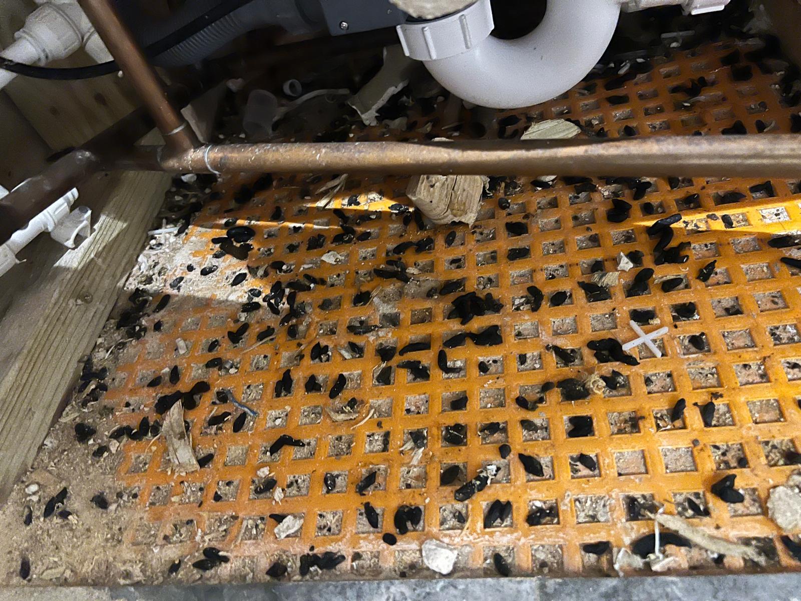 74b744e4-2923-460e-b9fc-56ac951918c0