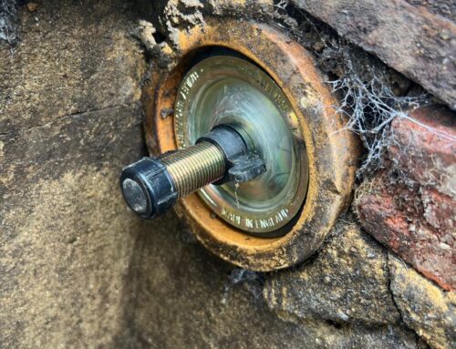 Rodent Prevention Tips for Homes in Hampshire This Spring