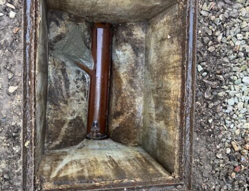 Rodent Investigation in Farnham