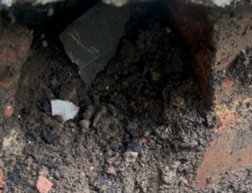 Fly Infestation Investigation in Farnborough