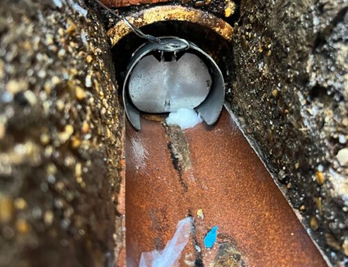 Rat Investigation and Proofing in Fleet