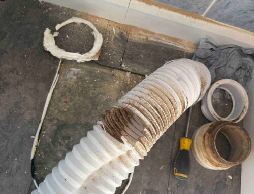 Rodent Access in Church Crookham