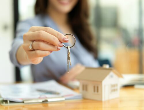 Pest Control for Landlords: Preventing Rodent Problems in Rental Properties