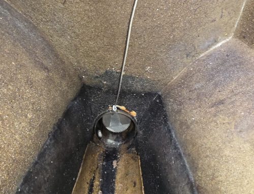 CCTV Drain Survey and Rodent Investigation