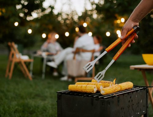 Why Pest Control Increases In Outdoor Dining Areas During Summer