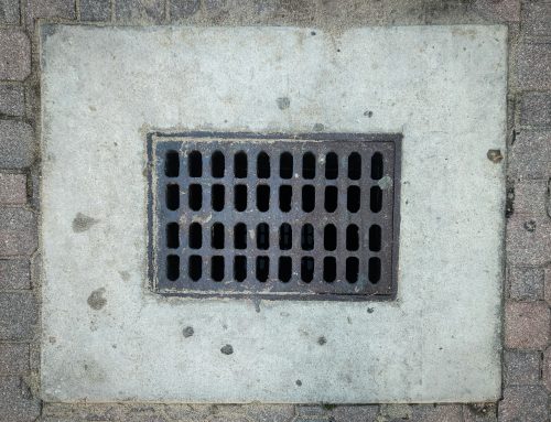 Why Drainage Systems Are One of the Biggest Causes of Rat Infestations